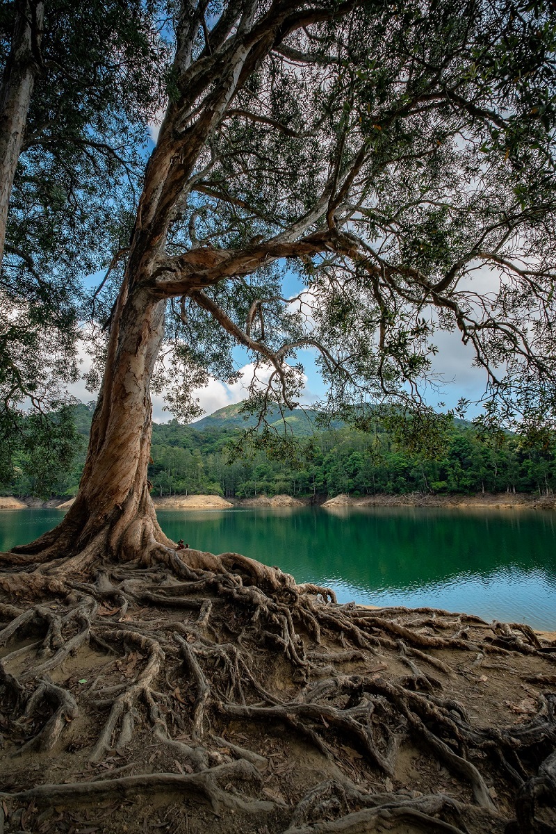 作者姓名：Jimmy Chan    镜头型号：CF 10mm F4.0 Cookie